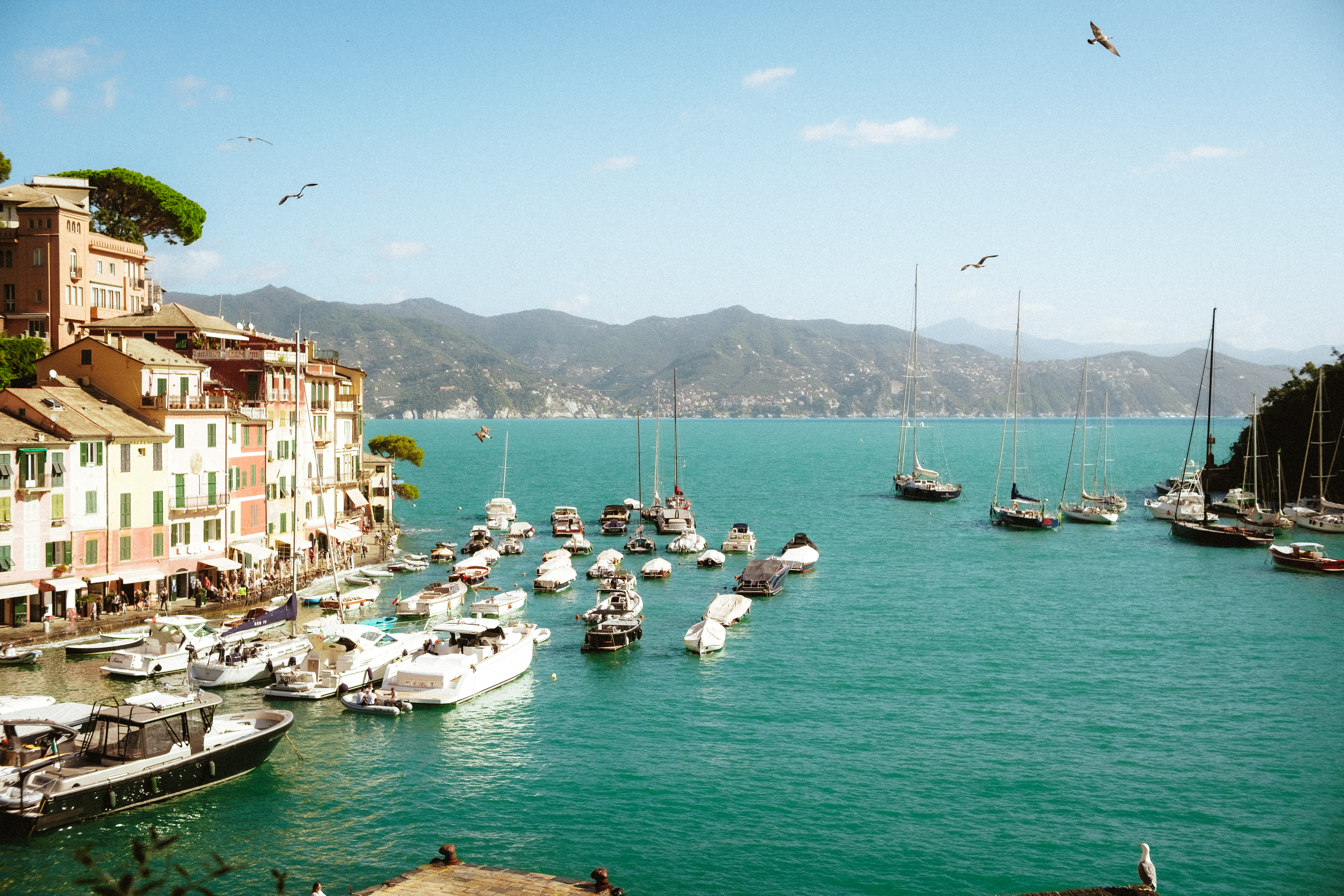 Colorful boats in an Italian harbor